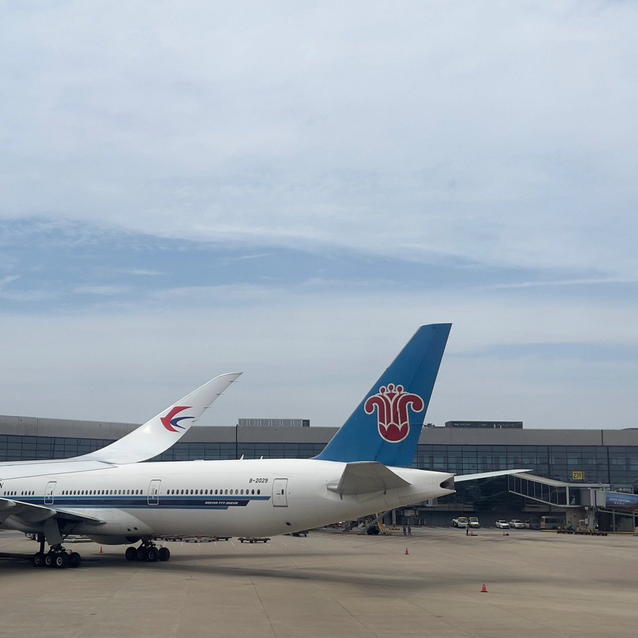 继国航之后打卡又一航司的墨镜侠～a350-900 91:2023.6.