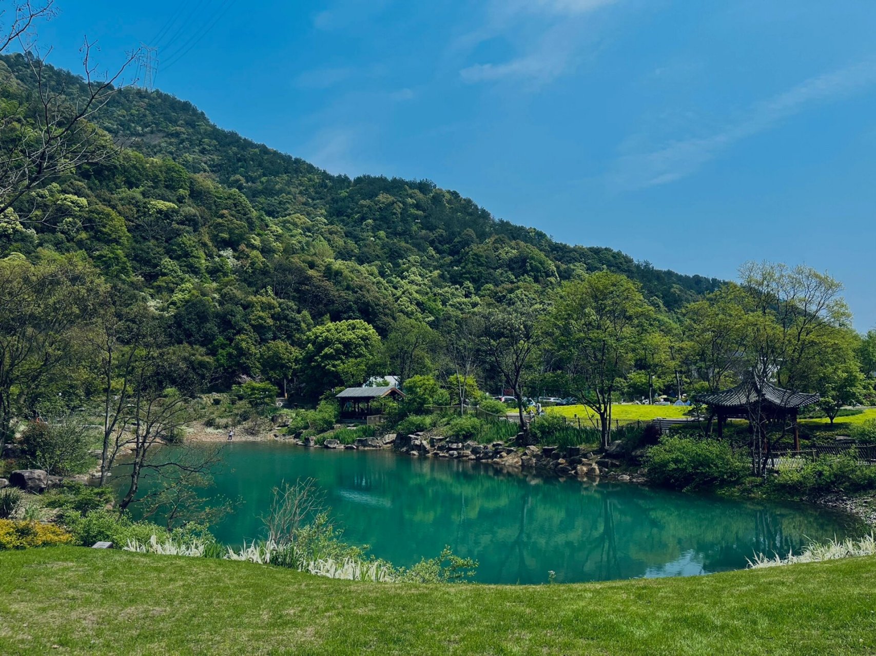 一定要坐观光车 富春山居图作者/黄公望,今天来富阳特意来打卡,景区