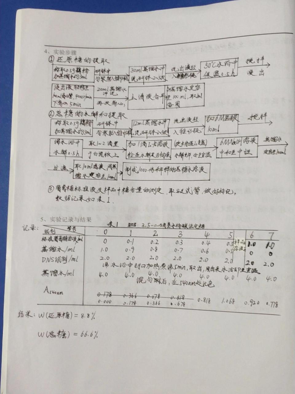 白糖结晶实验报告图片