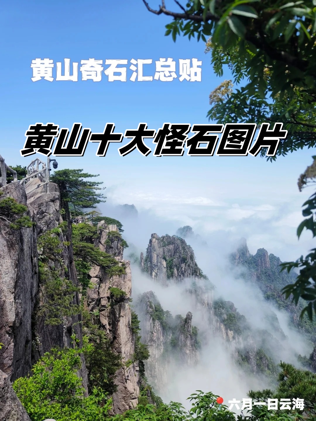 黄山十大怪石图片