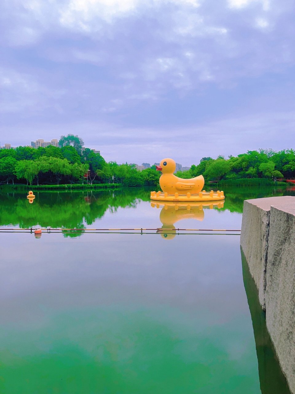 9899常州|青枫公园99 作为4a级景区 青枫公园真的很值得一去 大