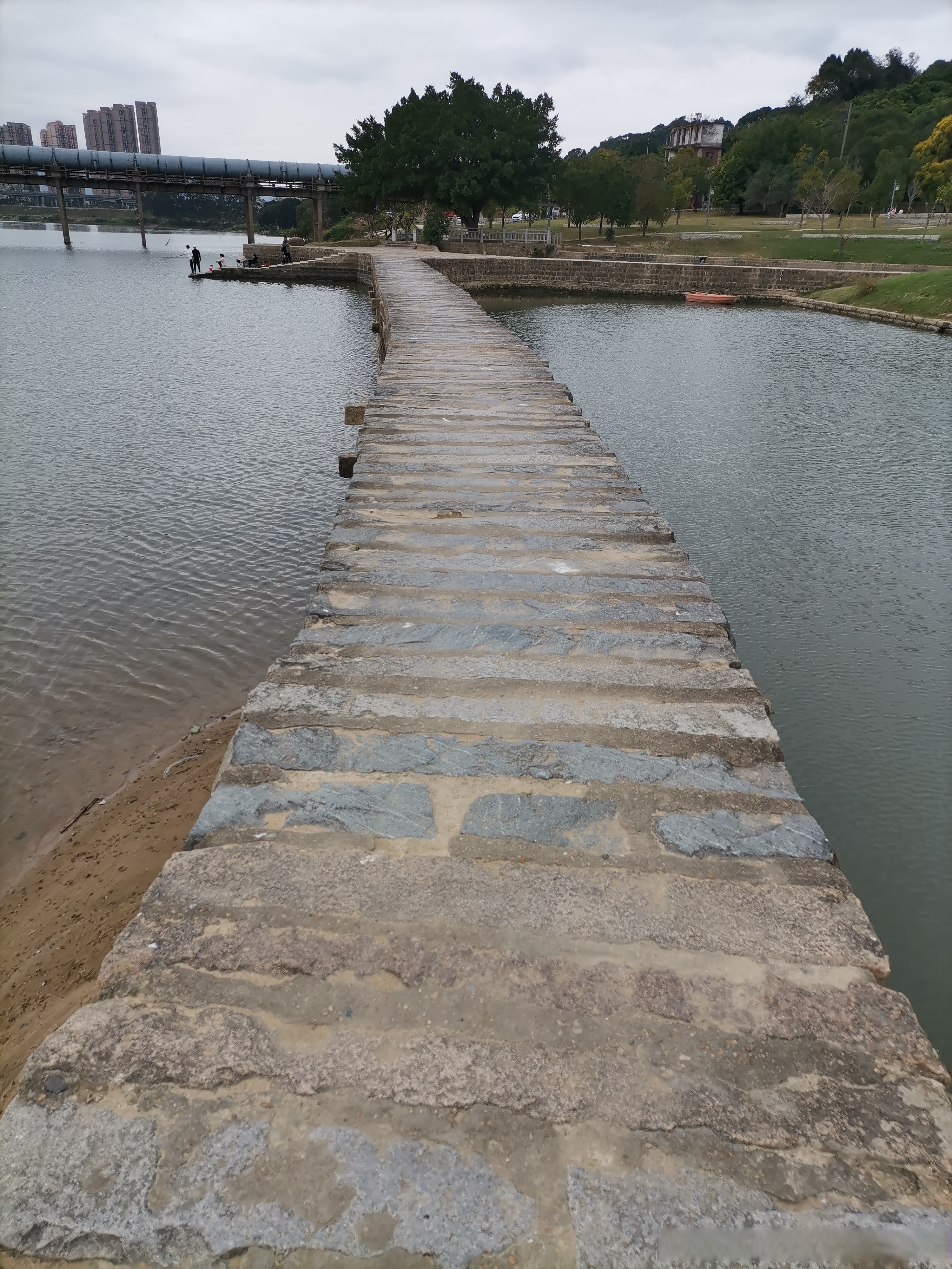 "飞驰女龙泉湖湿地栈道景区真实路面图片