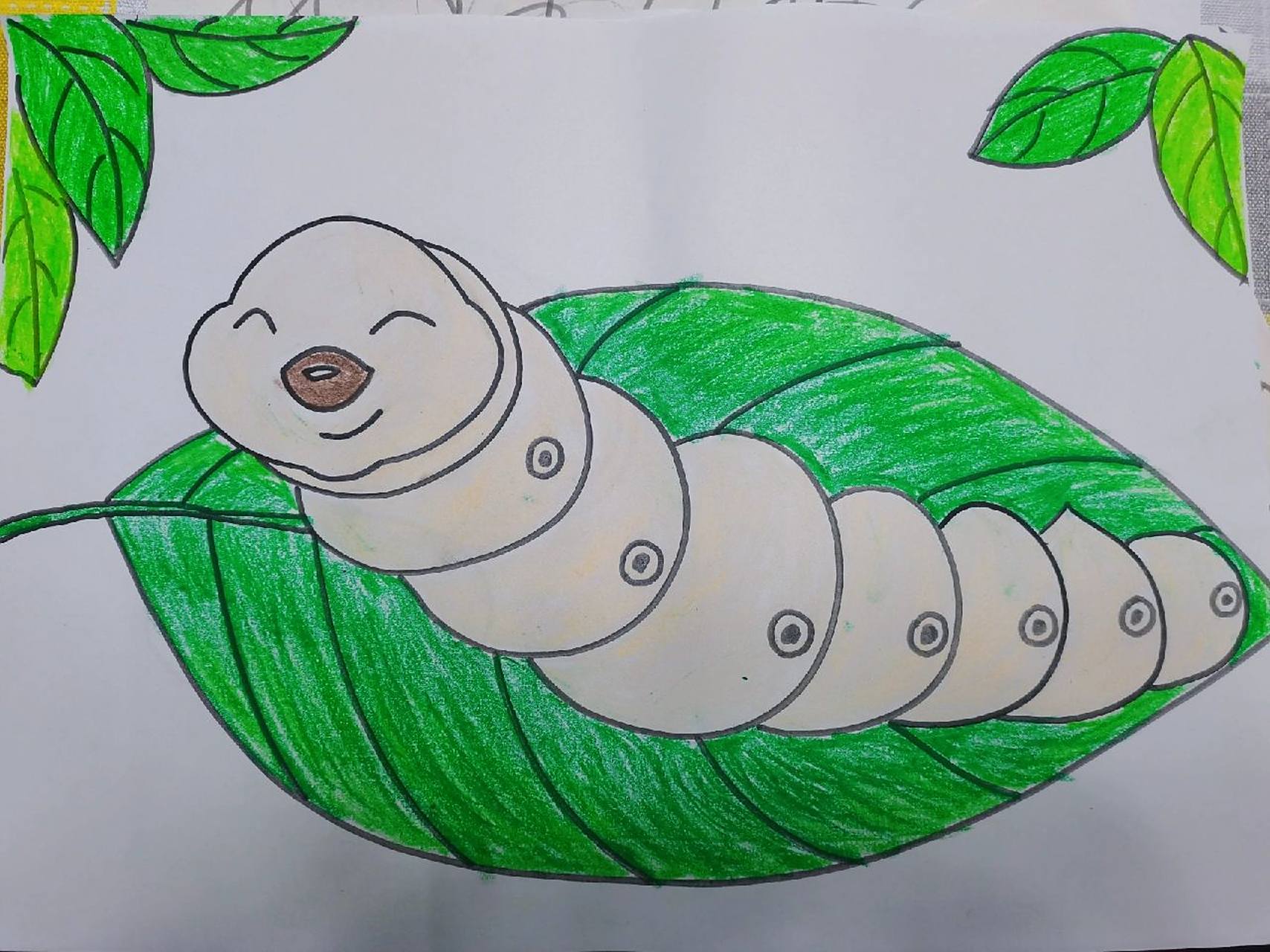 油画棒儿童画打卡d6天:《可爱的蚕宝宝》 蚕生长的4个阶段:卵-幼虫-蛹
