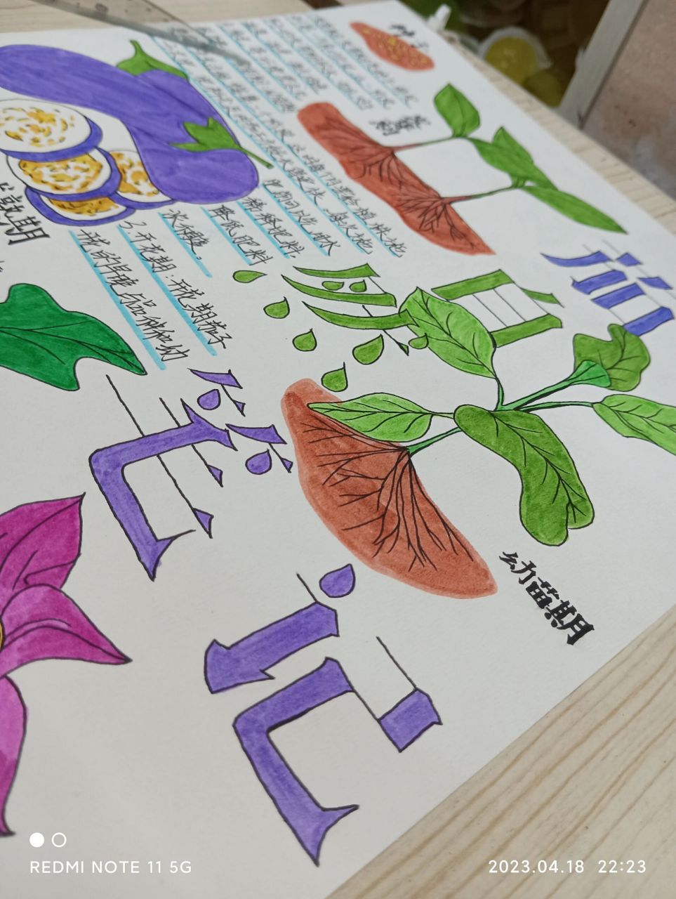 "茄子的自然笔记" 这幅画的主题是"茄子的自然笔记"