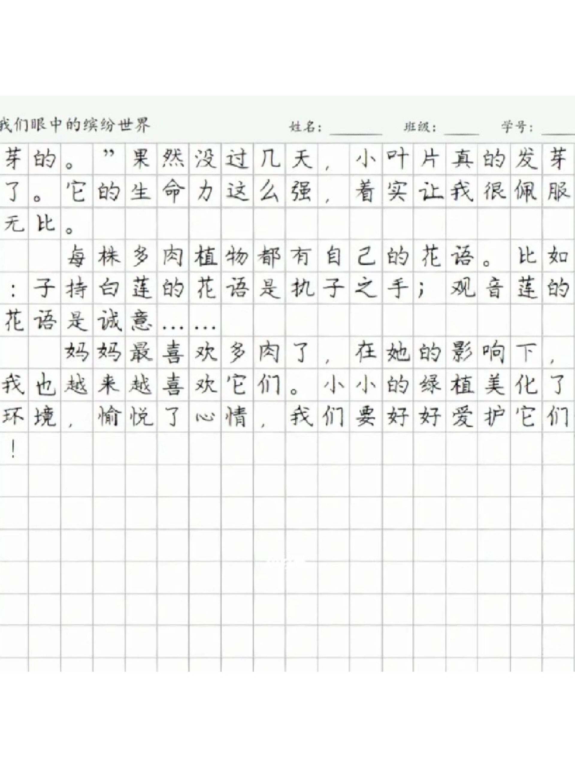 小学生多肉植物作文