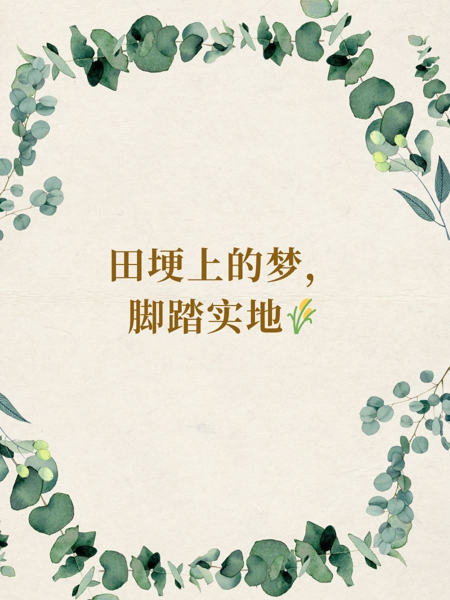田埂上的梦,脚踏实地 6. 田字格,规规矩矩也可爱 7.