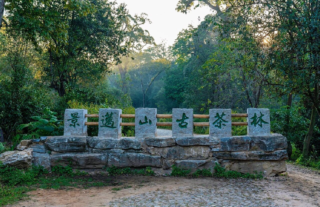 湖州乡村旅游走出“美美与共”之路九游体育- 九游体育官方网站- 九游娱乐APP下载- 助力世界杯