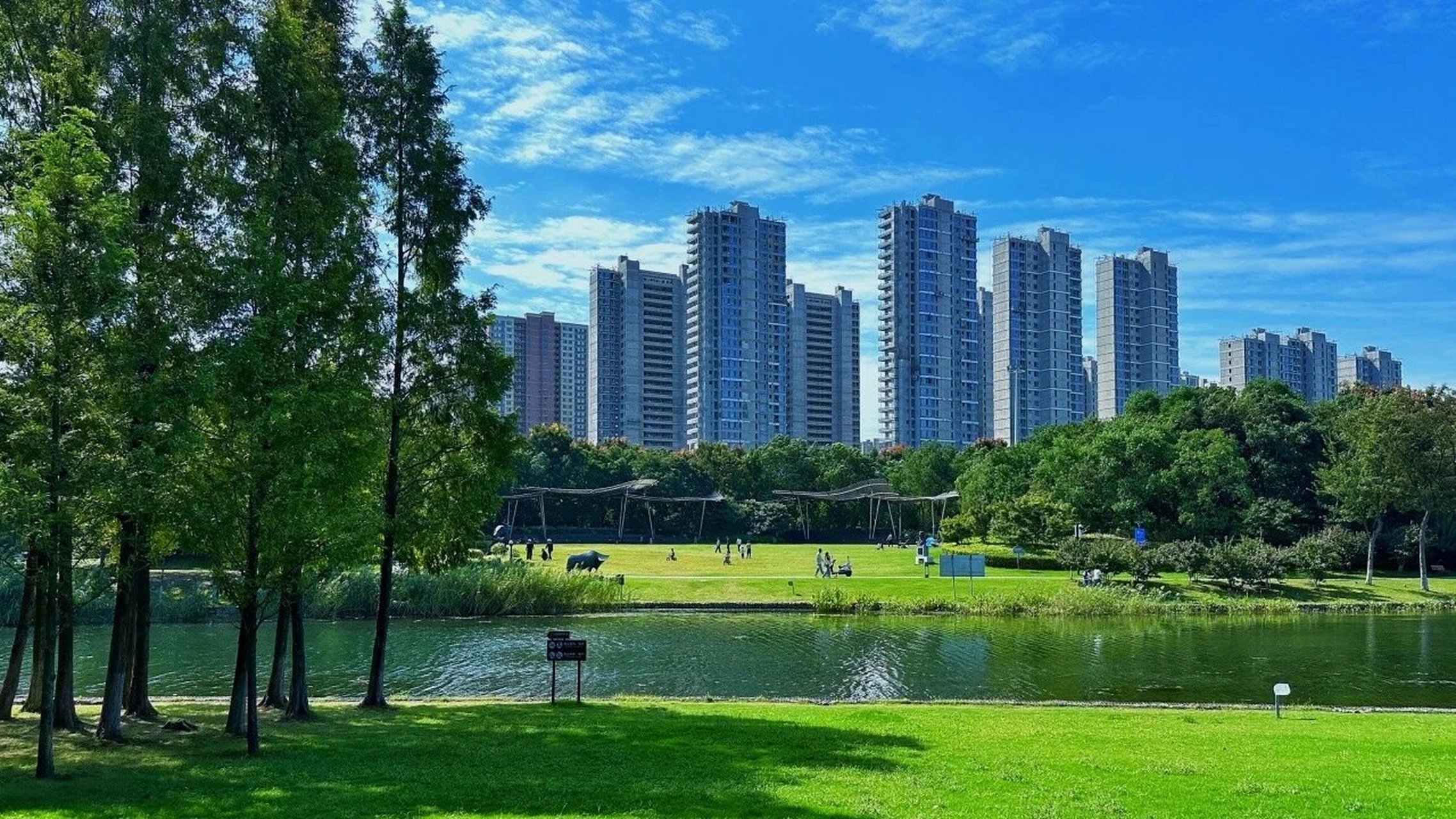 这个秋天,打开南京国际友谊公园的n种方式 这个秋天,打开南京国际友谊