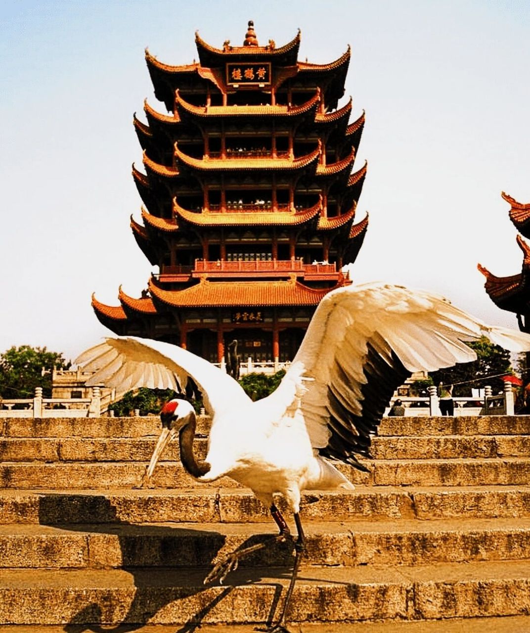 "黄鹤楼"       	 91 黄鹤楼,位于湖北省武汉市武昌区,地处蛇山之巅