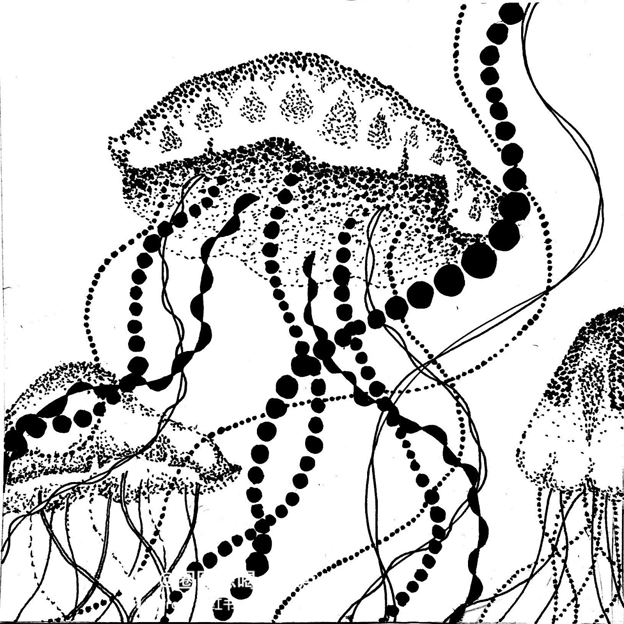 平面构成作业 点线面构成 主题是水母 画的很具象,也参考了很多图片