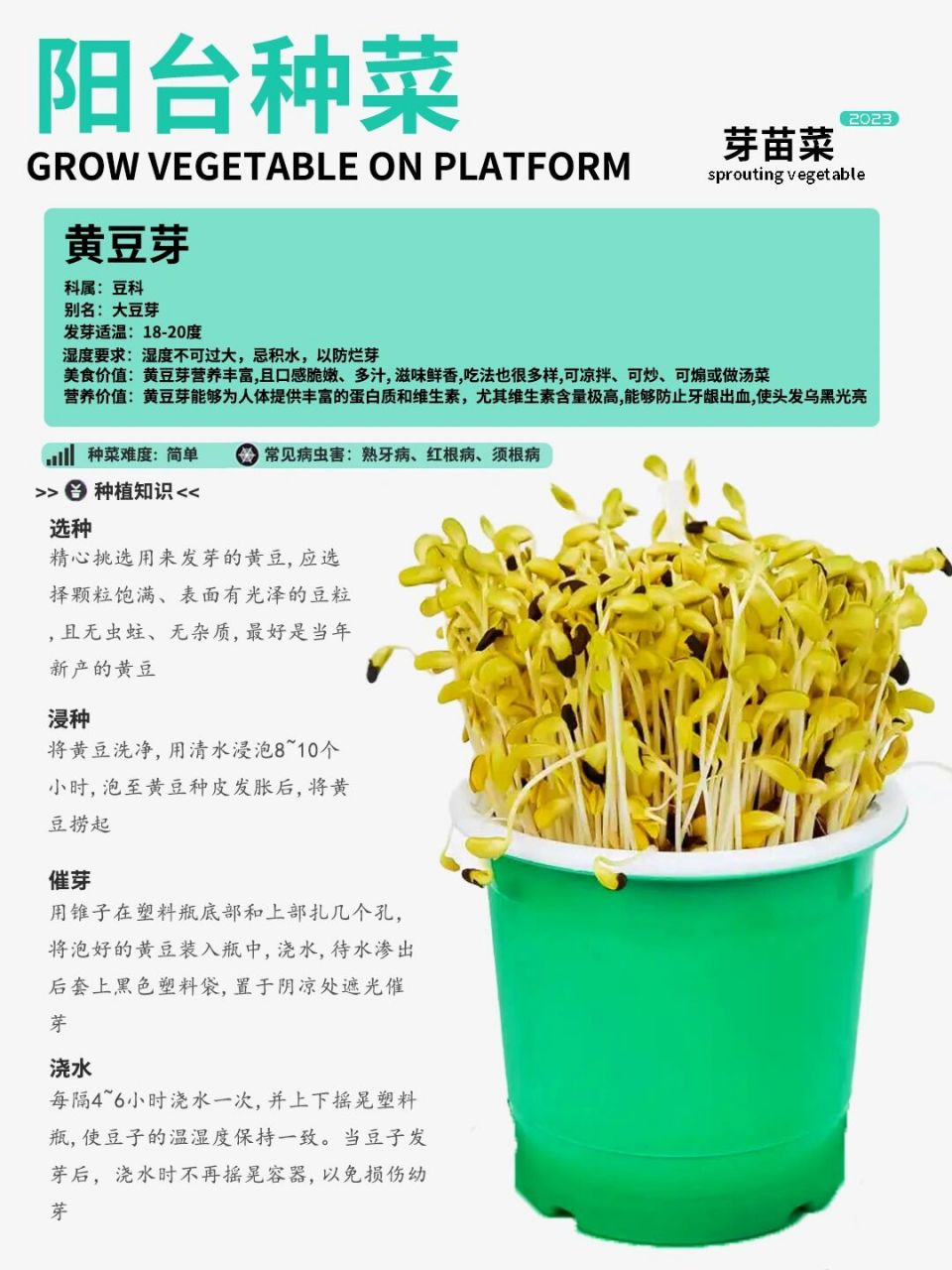 阳台种菜|黄豆芽种植攻略卡片!