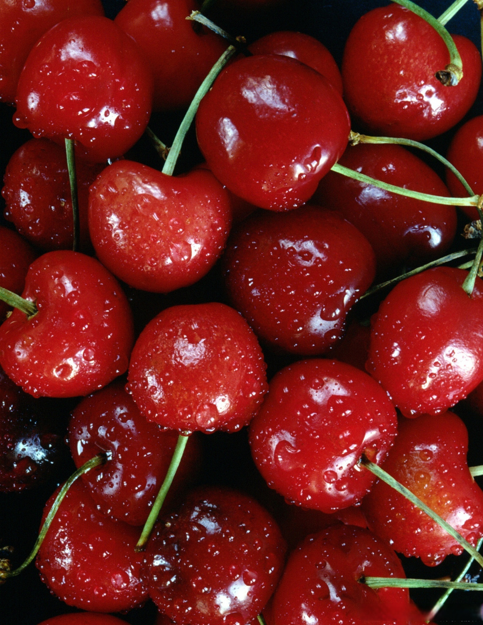 进口知识:水果篇 车厘子进口到国内需要准备哪些相关资料?