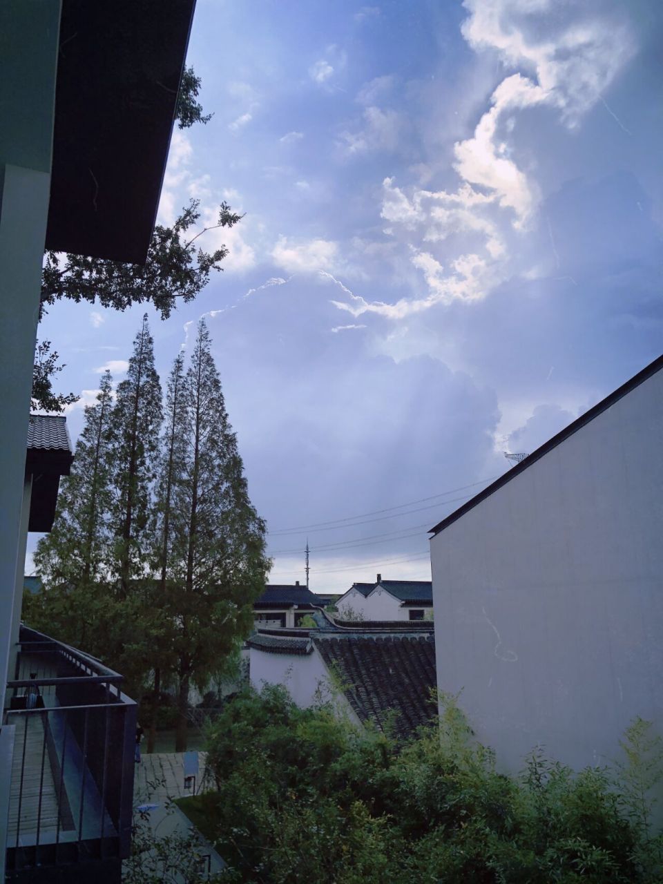 章堰村:以古为新 千年村落演绎别样乡村振兴 青浦共有10个「上海市级