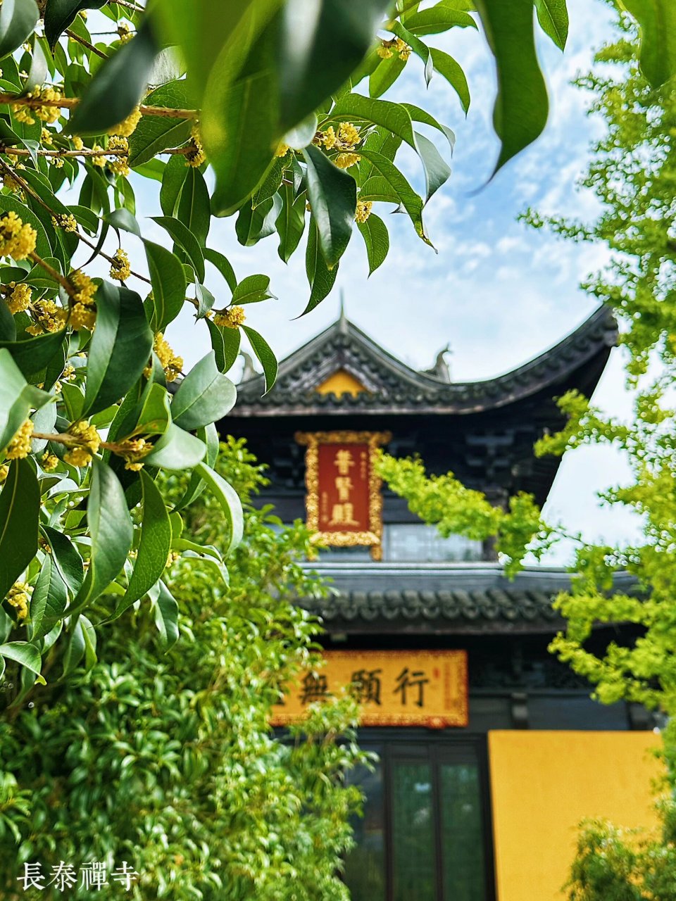 9长泰禅寺 长泰禅寺座落无锡南门外太湖之滨的古镇南方泉长泰山东麓