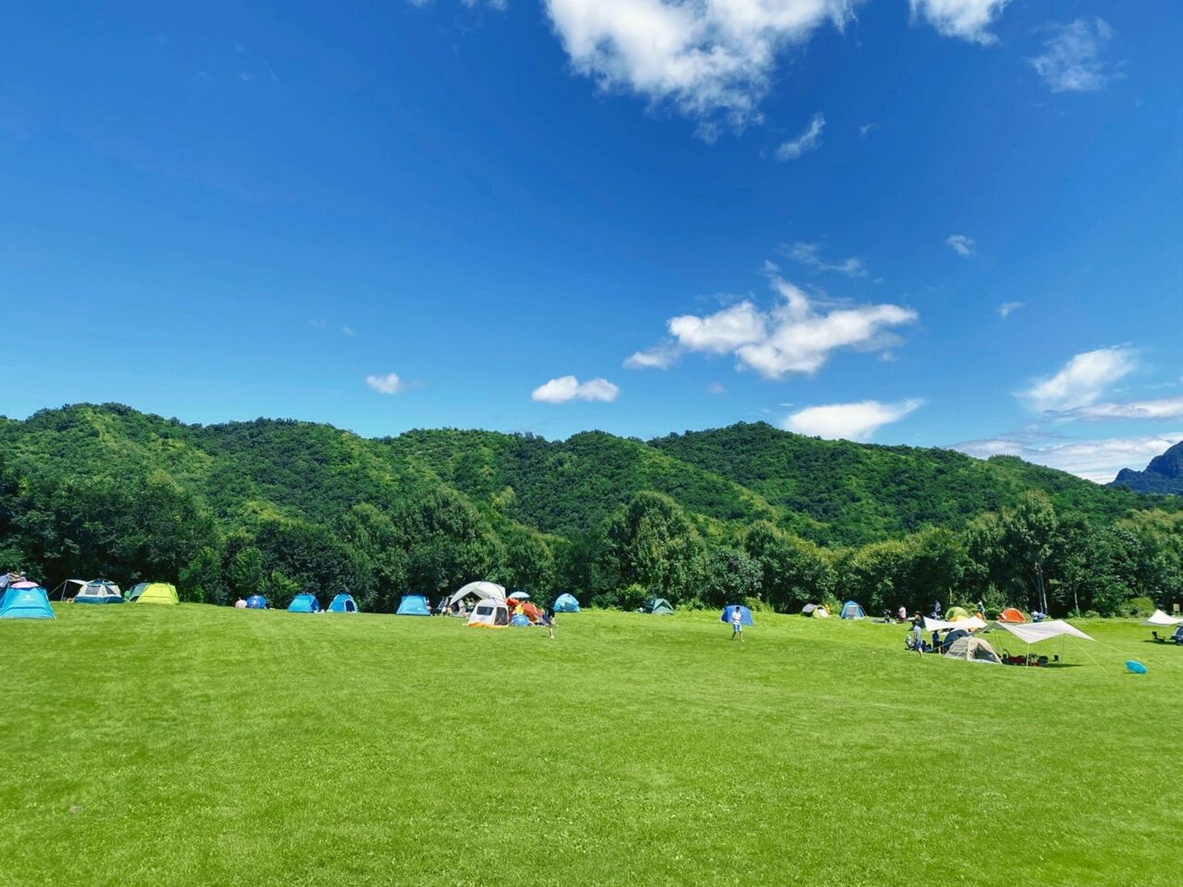 必打卡│ 京郊高山草甸│ 夏日避暑地│玉渡山 今天给大家推荐一个