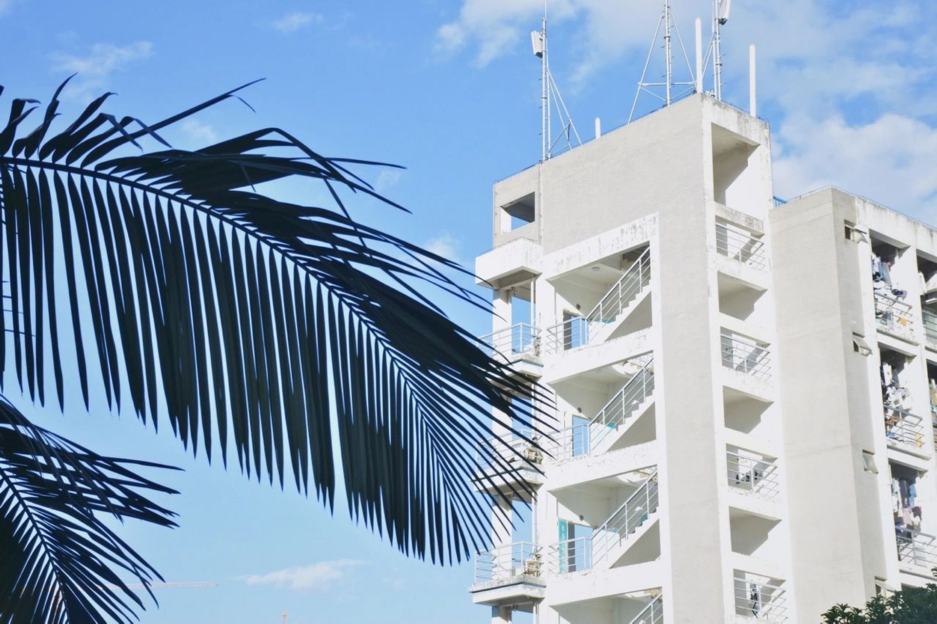 福建理工大学|校园风光 图片是旗山南校区的环境 摄于秋日午后 ———