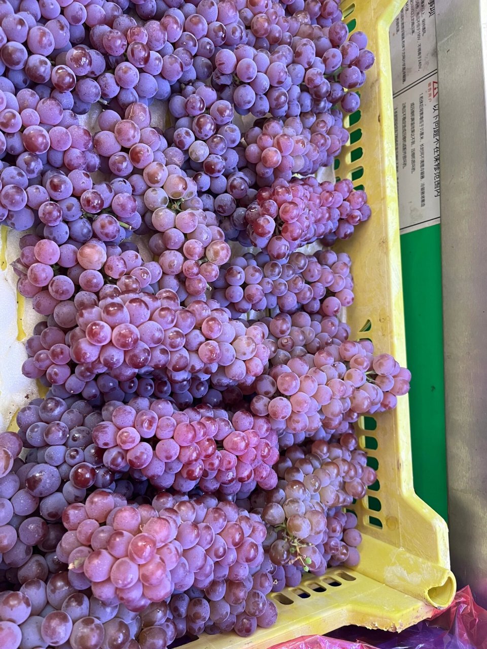 真的会有会有这么小一个的葡萄吗 老板说这叫红珍珠葡萄 我刚看到的