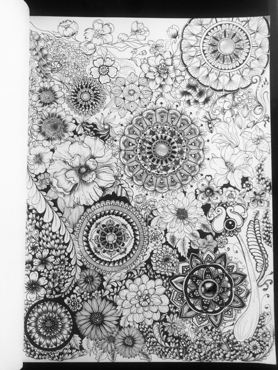 1 满篇的缠绕图案和花卉结合一直是我喜爱的元素.