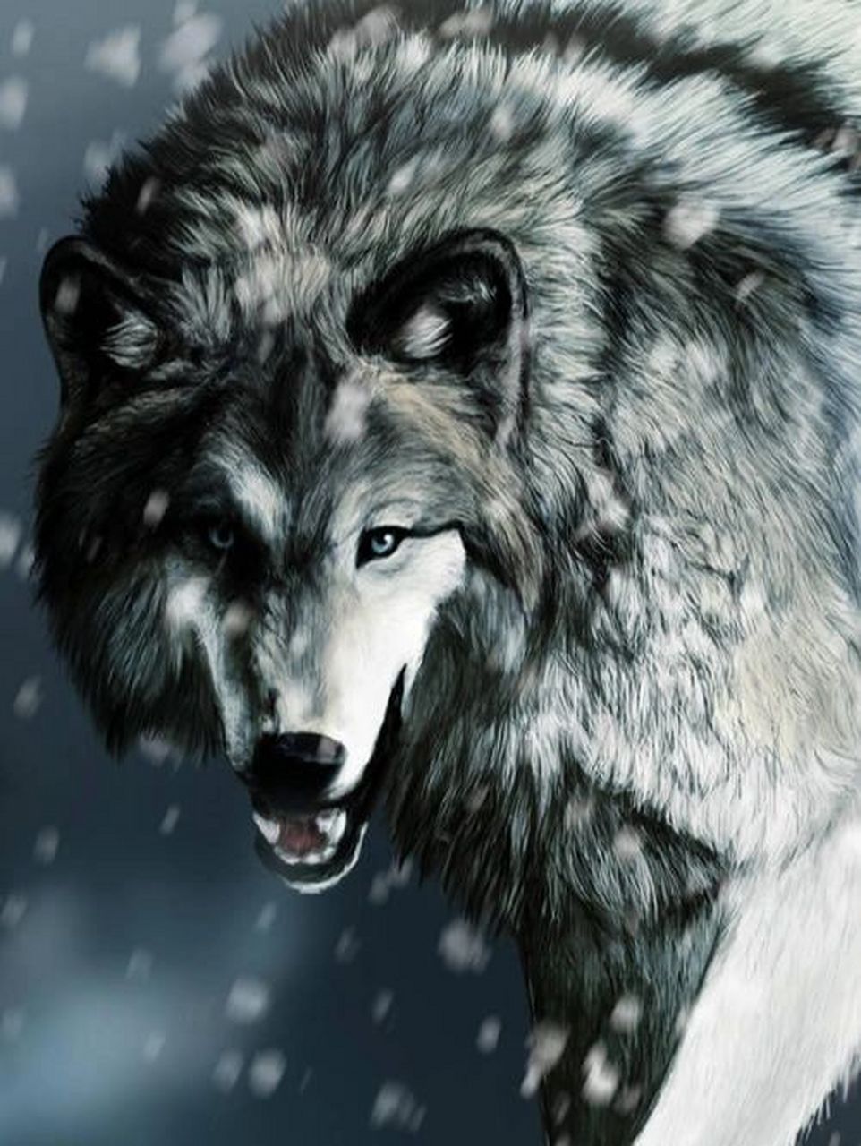 狼的霸气 冷酷图片