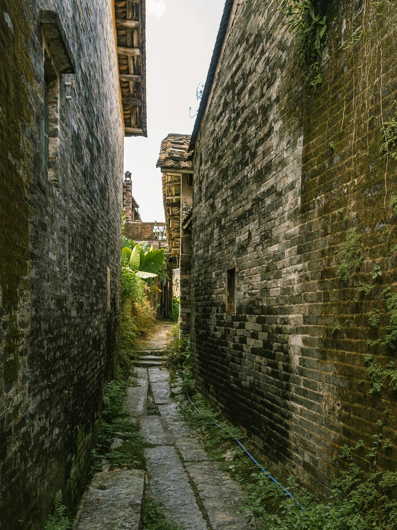 广州增城的美丽古村图片