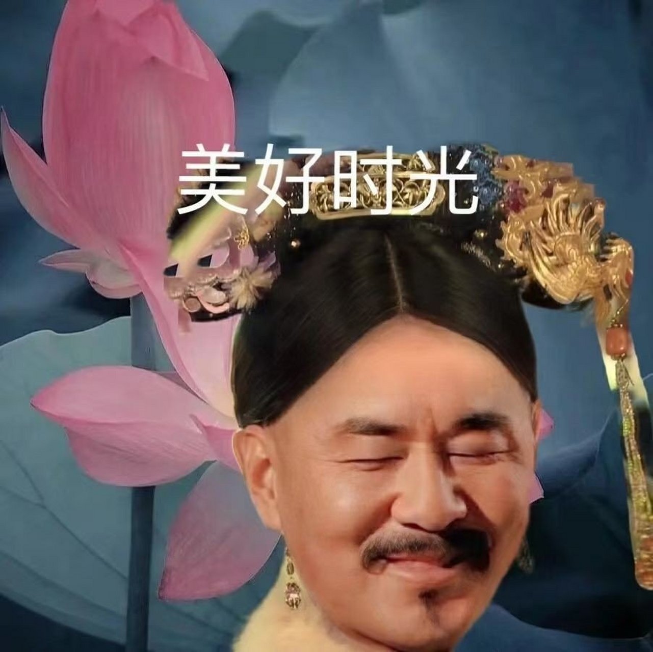 甄嬛传|搞怪沙雕表情包|莲花表情包  胖橘嬛嬛表情包再来一波