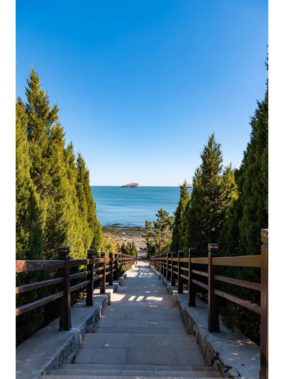 7大连七贤岭森林公园 海天一色加上绿色点缀 简直是太美啦