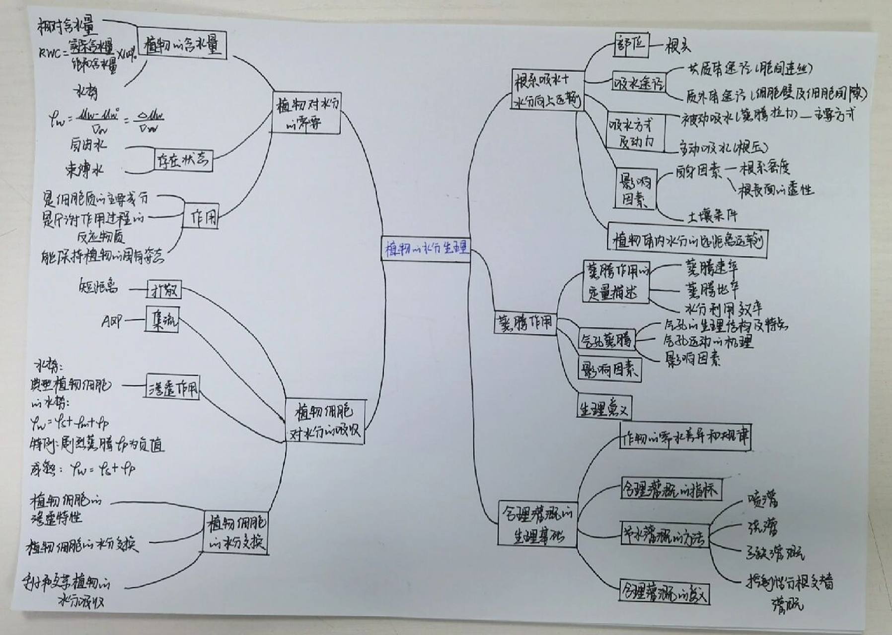 思维导图来啦 思维导图|植物的水分生理00
