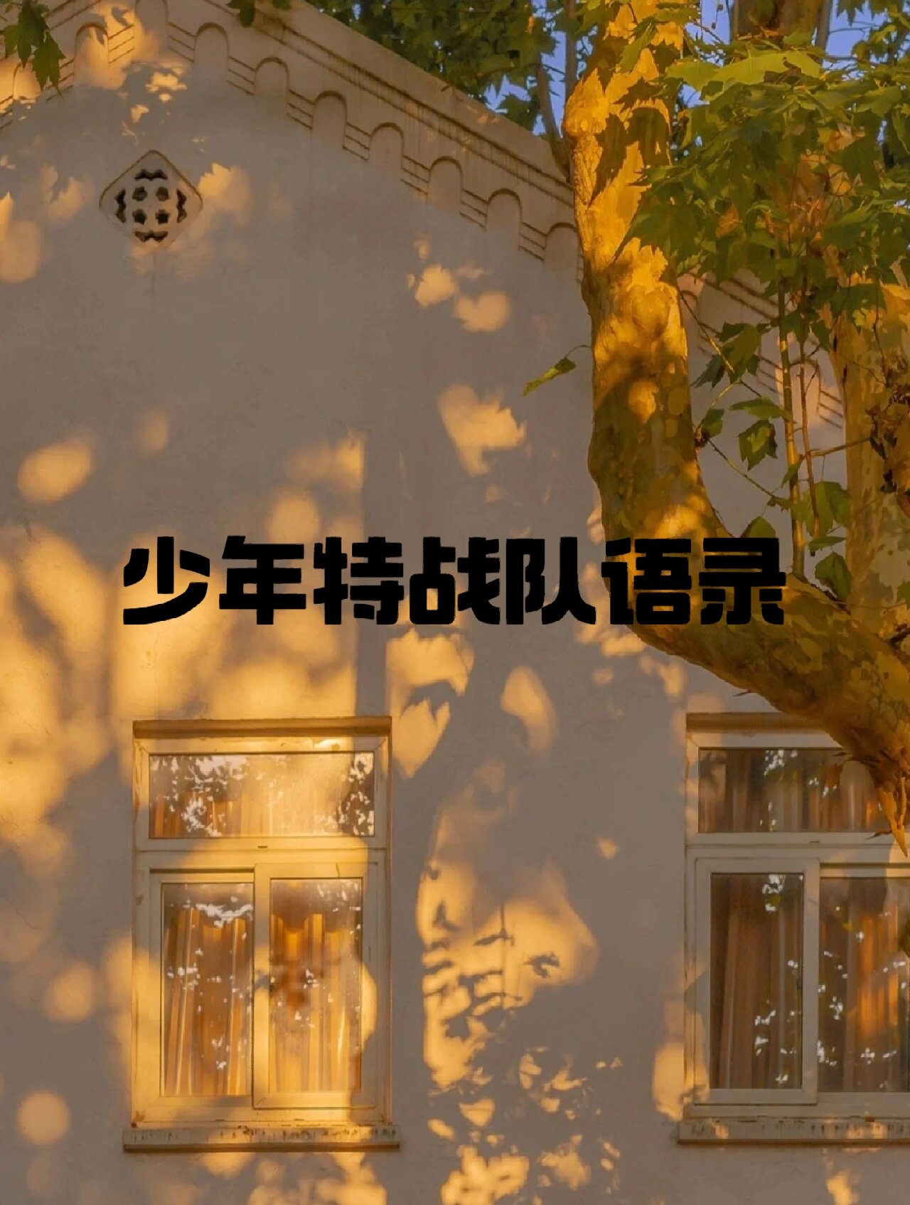 《少年特战队》语录