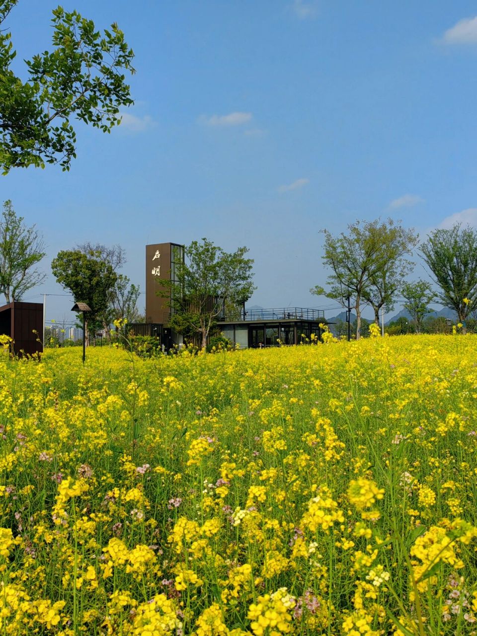 富阳阳陂湖,被遗忘的另一个湿地公园 趁着周末,跟朋友去富阳逛了一下
