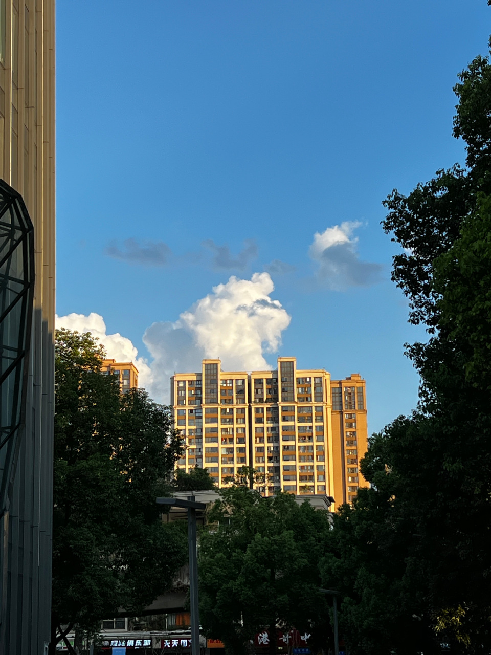 95艰难前行,大队长带头冲锋9405  #曾轩