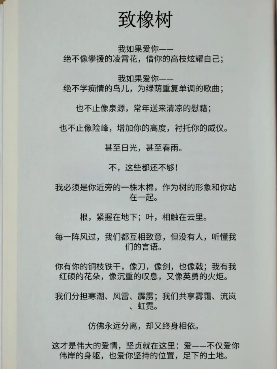 致橡树 这就是  我所见过的最好的爱情观 而今我把这首舒婷的散文诗