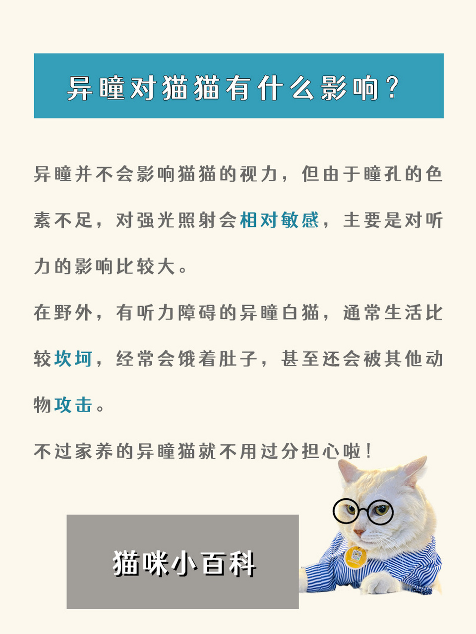 异瞳俗称阴阳眼或鸳鸯眼,通常表现为一边是蓝色,一边是黄色或其他