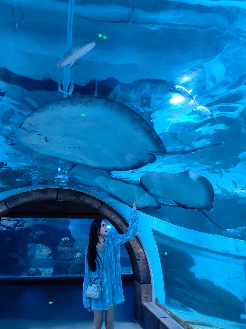沈阳必去海洋馆98海蓝星梦幻城保姆全攻略 炎热的端午太适合去这种