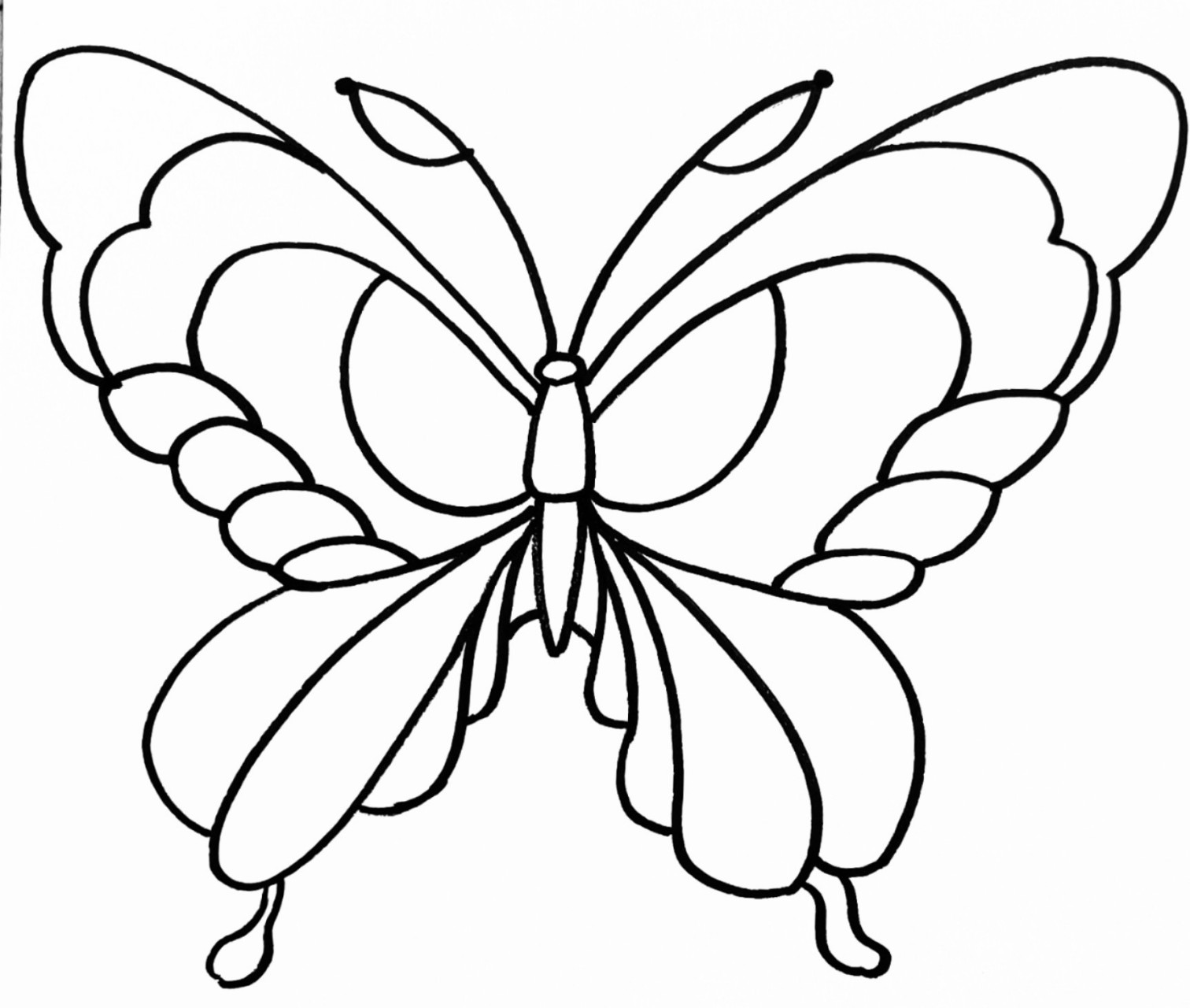 线描   ▏蝴蝶03  5.6.7.