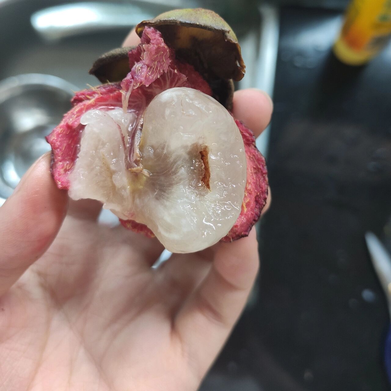 绝!有几块完全糖化的山竹肉  我现在才知道完全糖化的果肉是脆的! 我