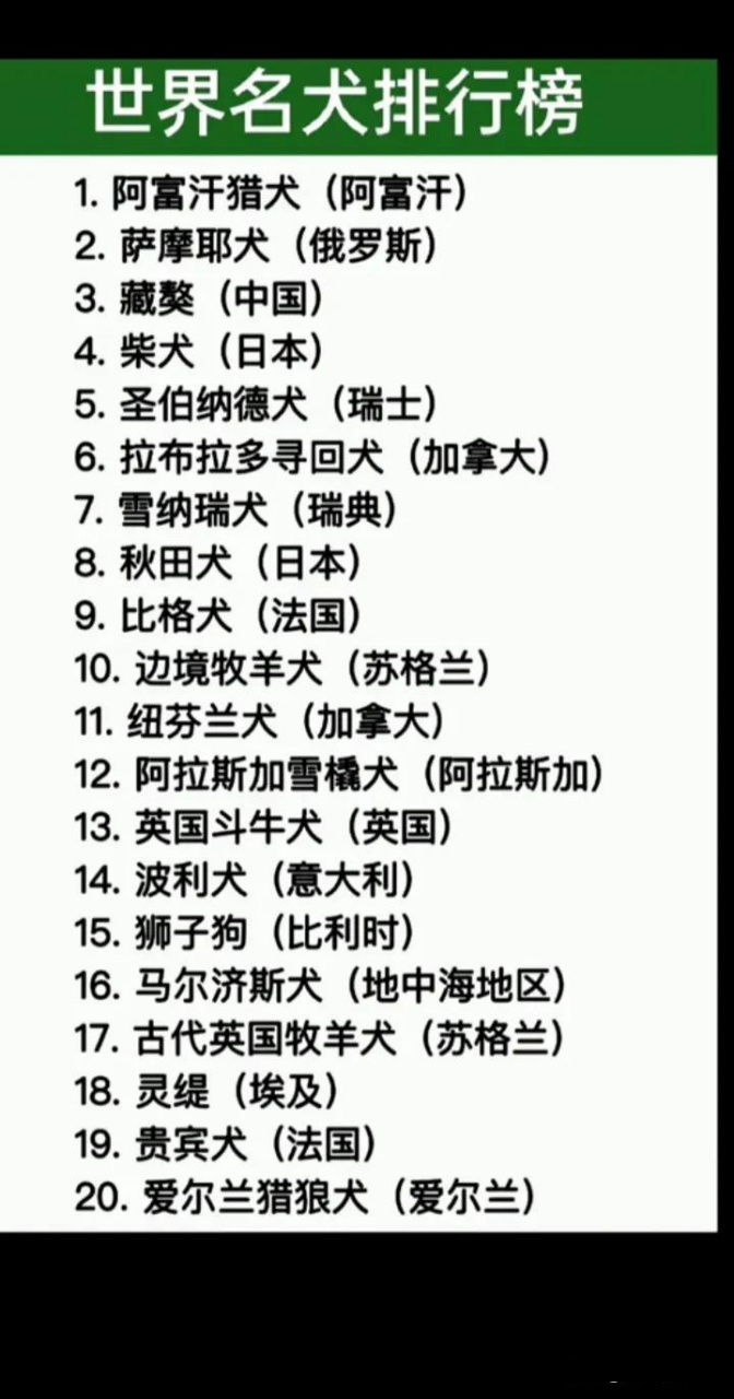 世界十大名犬带你看世界名犬