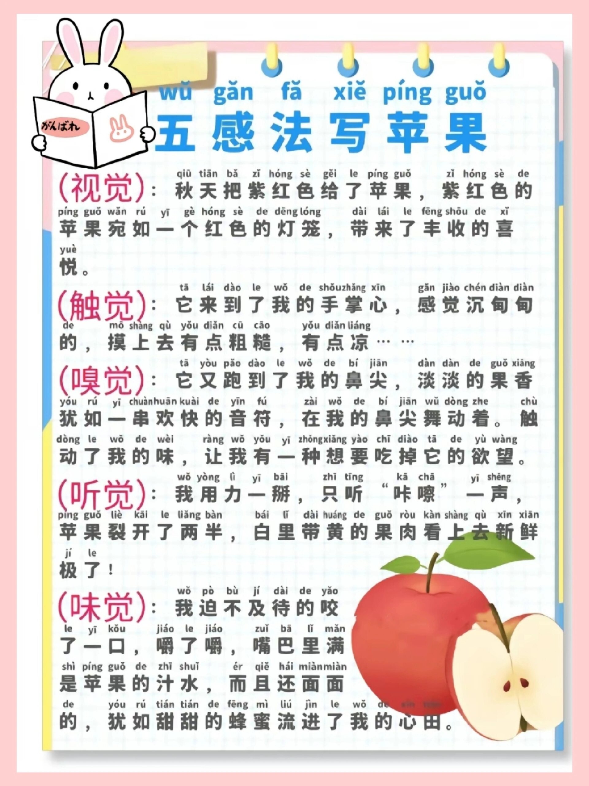 五感法写作文|水果篇之苹果