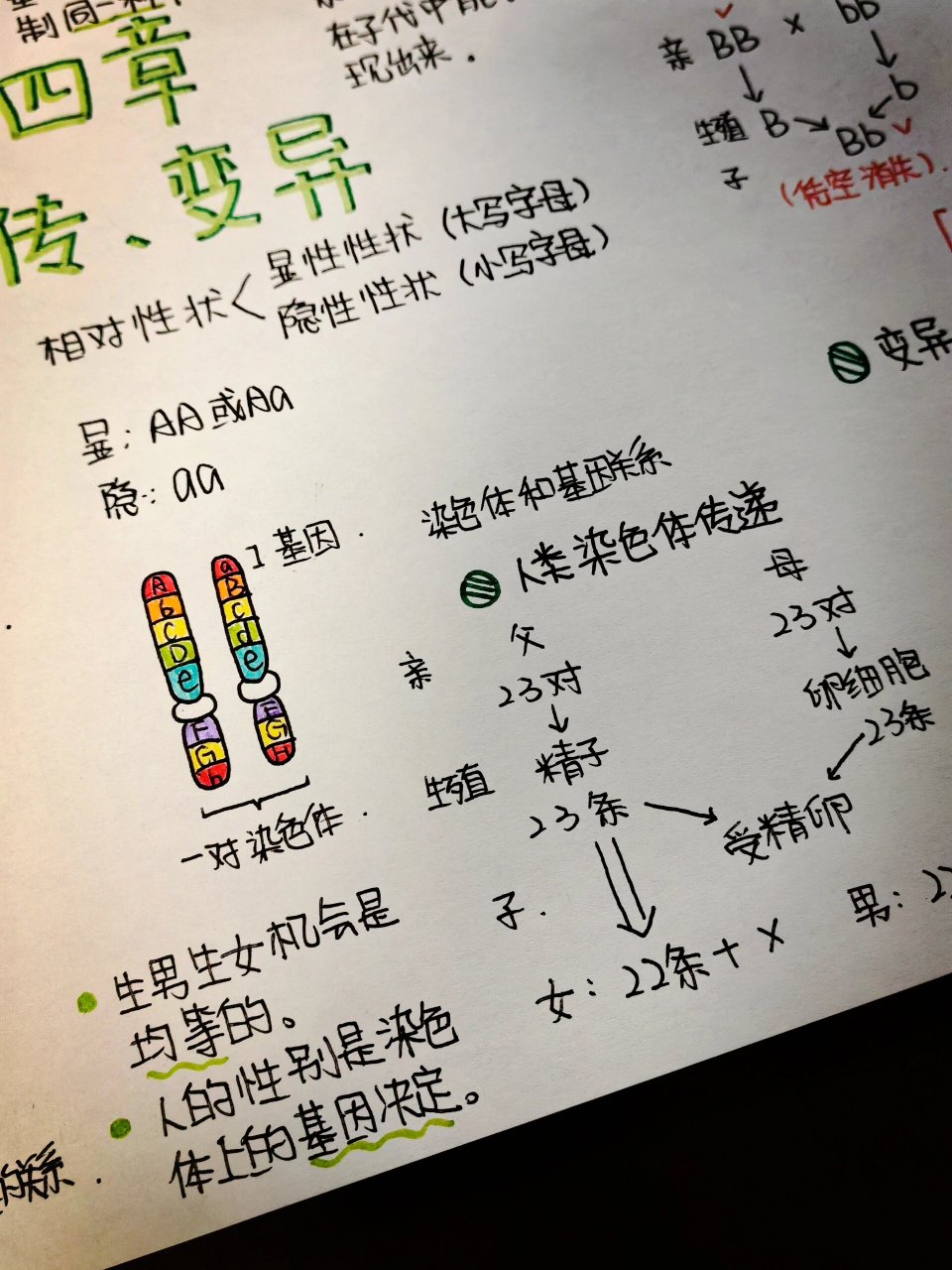 遗传学手抄报图片