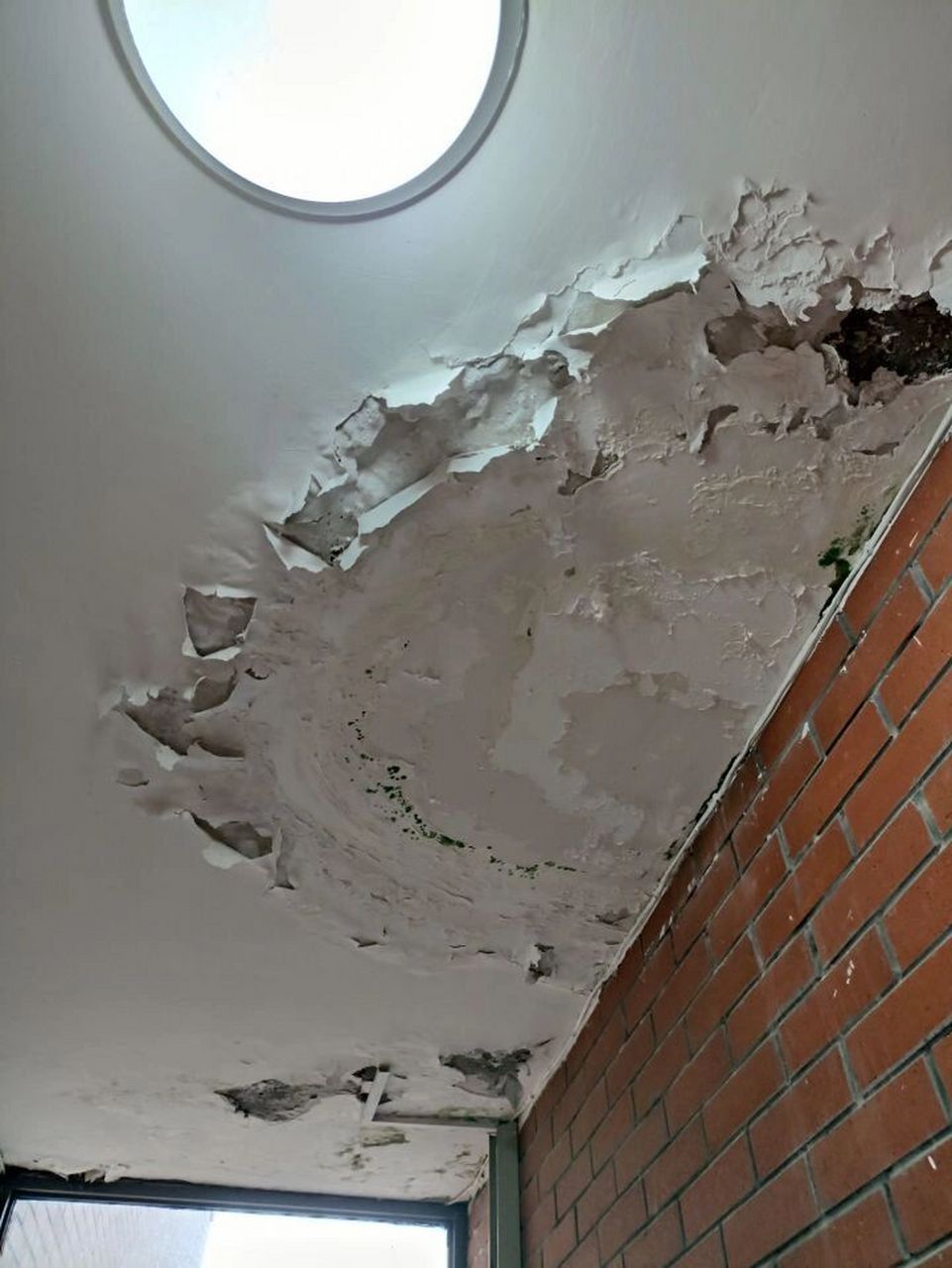 客厅从下往上起皮渗水,应该如何解决?