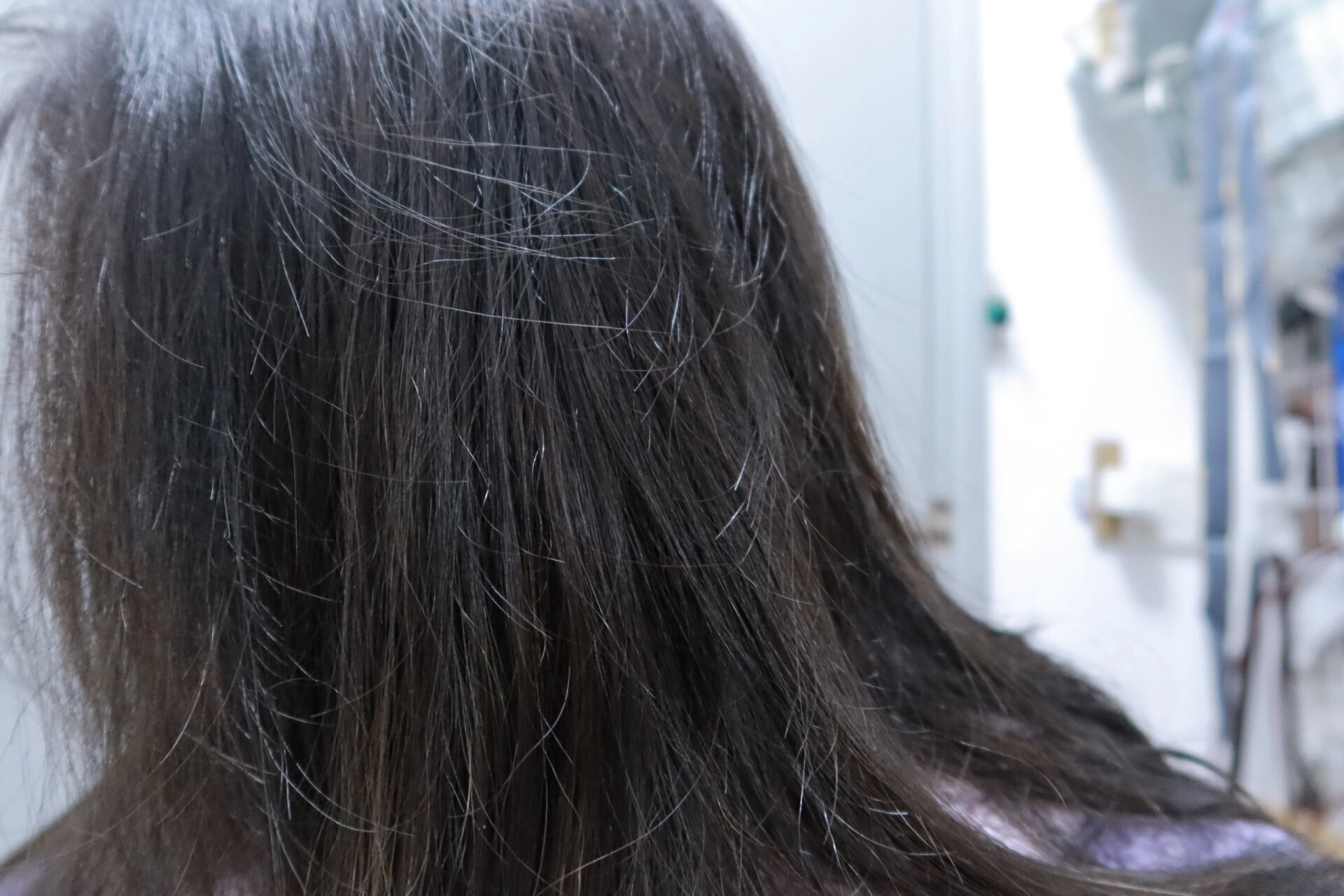 施华蔻羊绒脂深棕 又染头发啦,因为后面想要做汉服造型,需要有假发