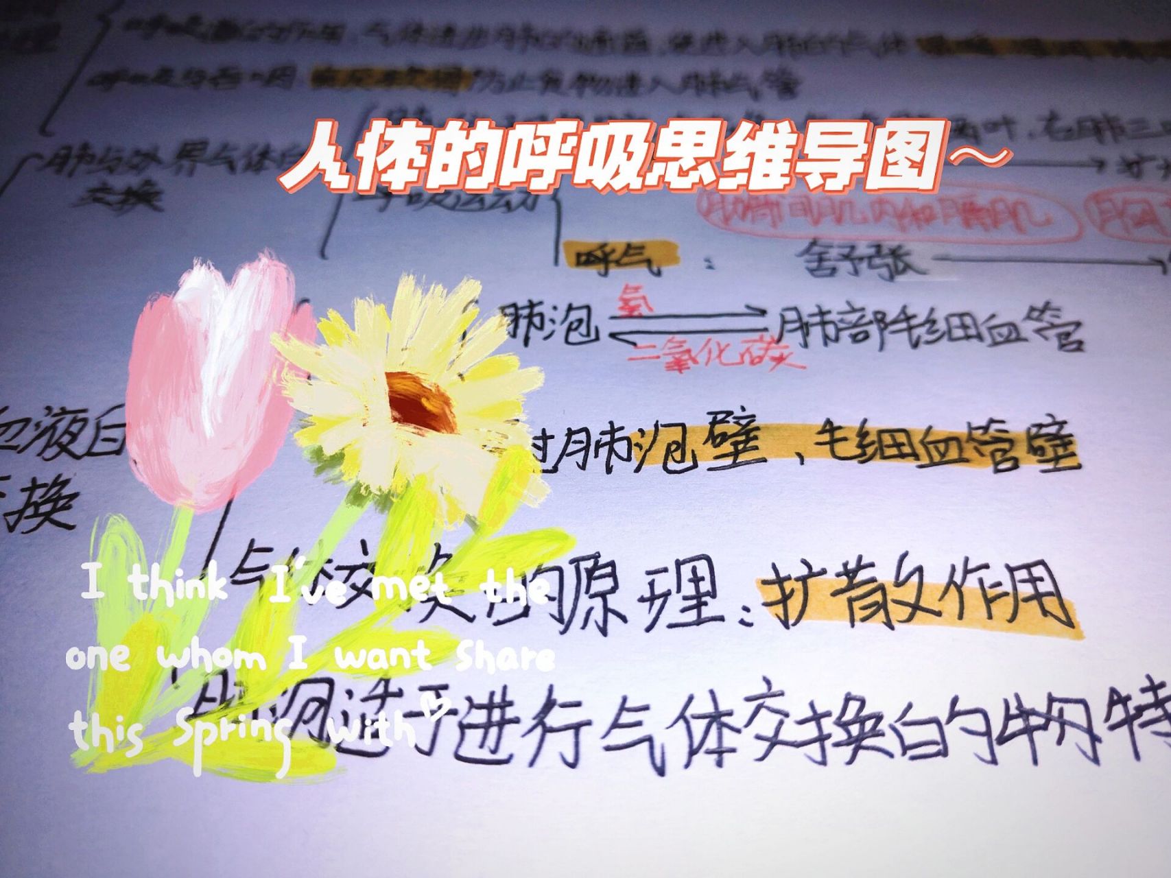 生物 人体的呼吸思维导图