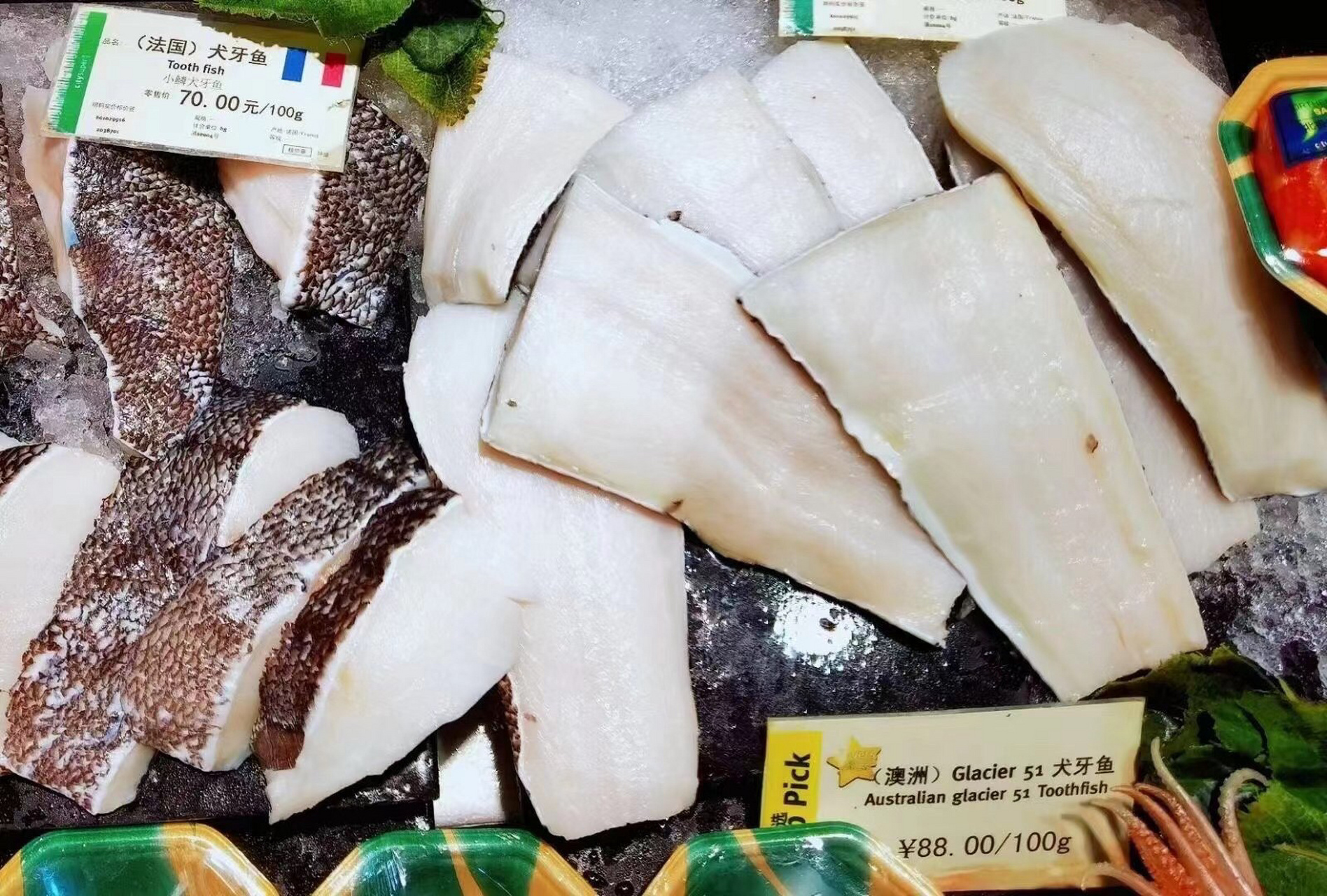 "银鳕鱼"中的贵族:来自南极冰川的犬牙鱼 近几年,银鳕鱼开始越来越