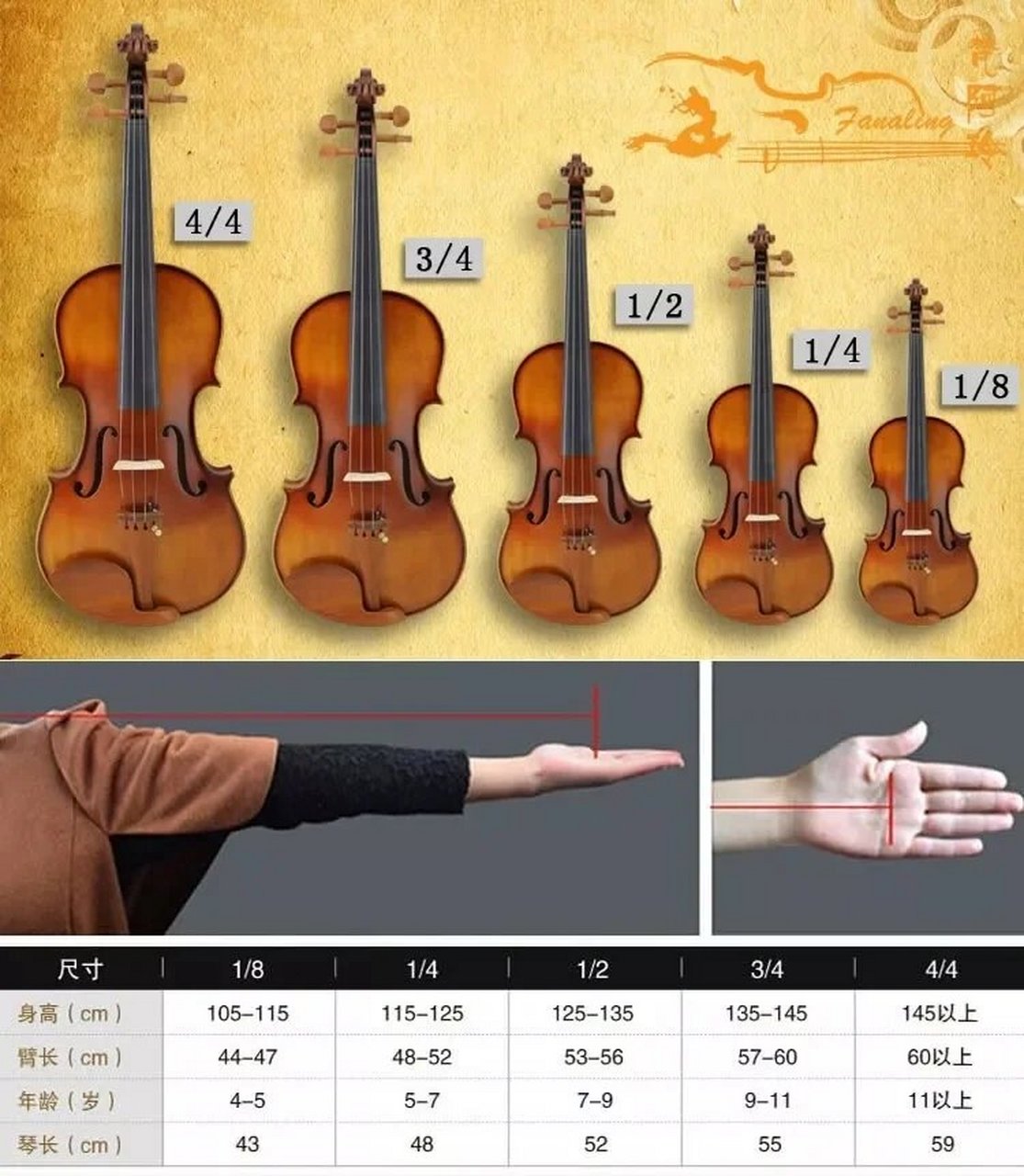 不论大中小提琴,低音提琴,都有不同尺寸的,不同年龄不同身高的孩子