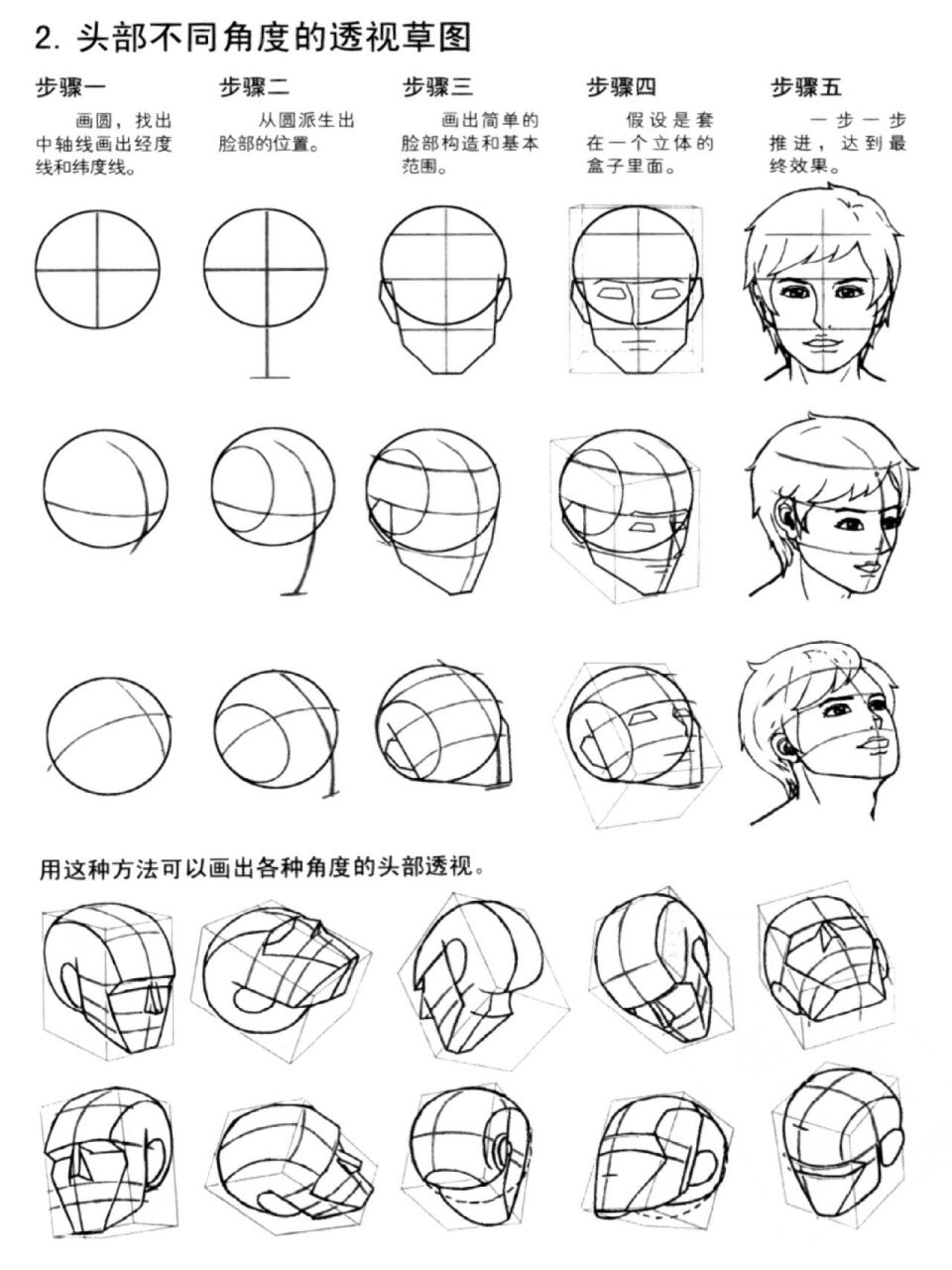 人物头部结构图图片