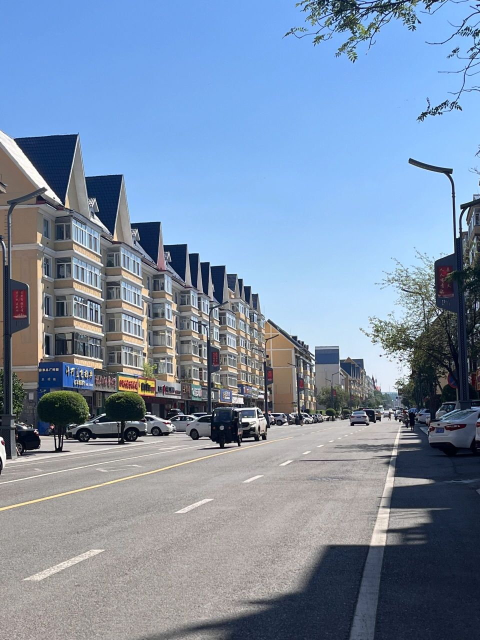 加格达奇,有樟子松生长的地方.