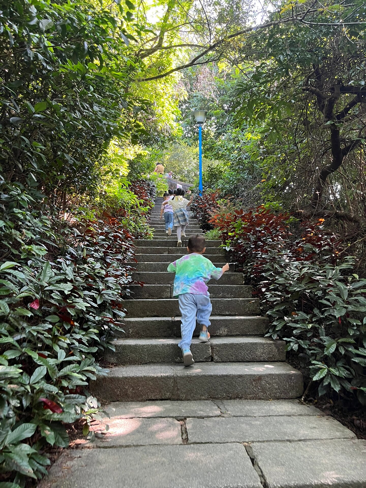 中山遛娃好地方-坦洲山公园