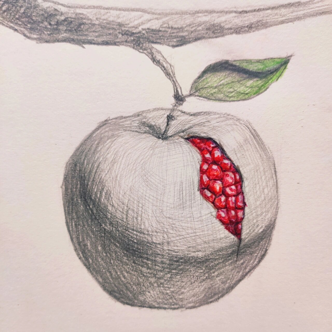创意素描苹果96 画一个不是苹果的苹果