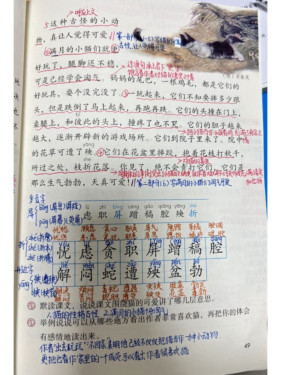 四年级语文下册第13课《猫》预习
