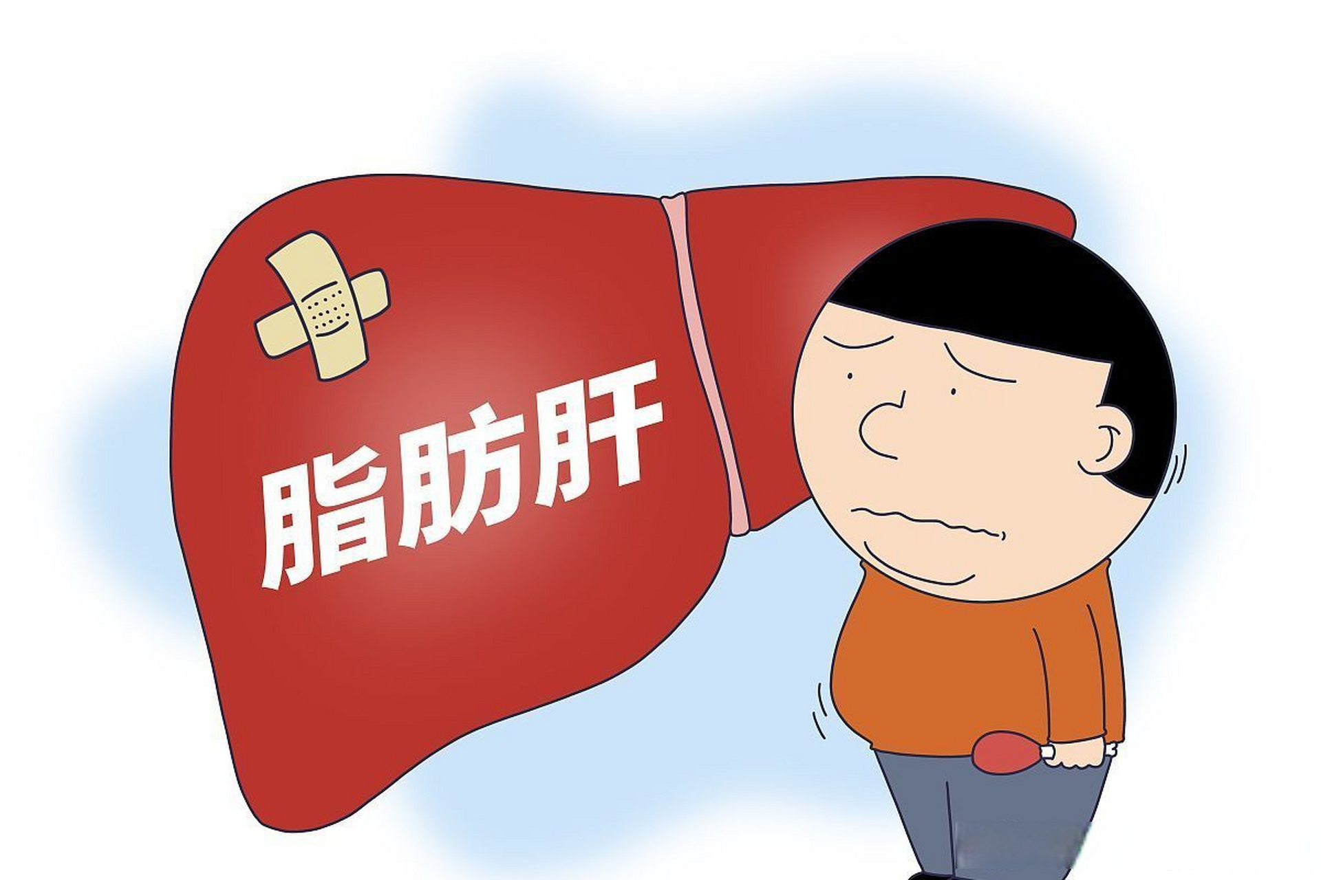 7大饮食改善脂肪肝!一起逆袭肥胖吧