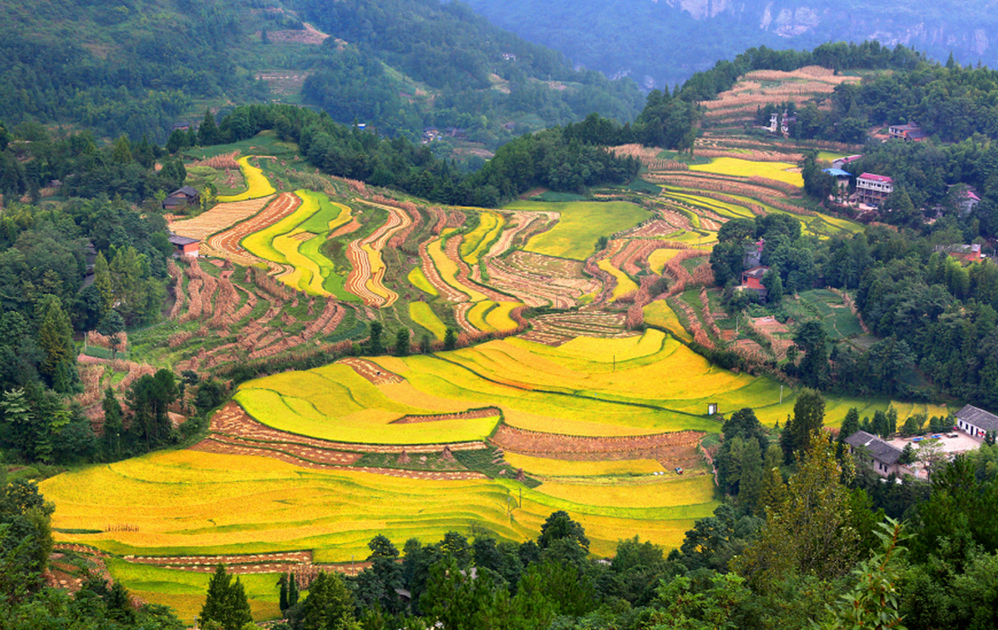 遇见湖北醉美秋色# 秋天,在湖北省利川市谋道镇长坪境内,处处洋溢着